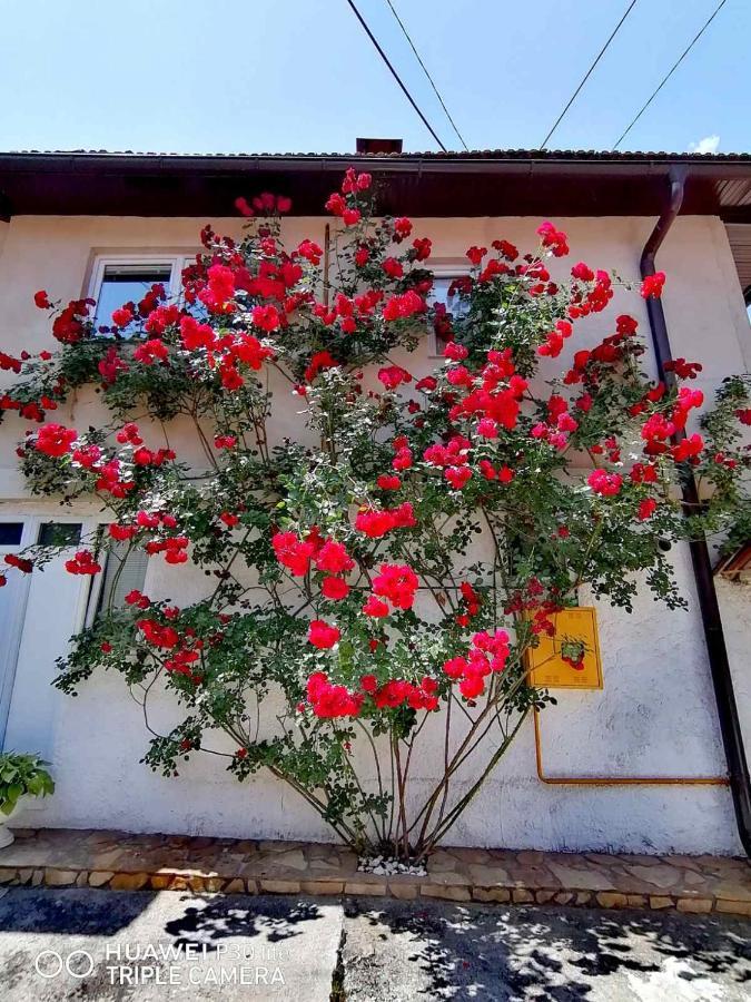 فندق Modern&Cozy Bosnian House With Garden+Free Parking سراييفو المظهر الخارجي الصورة