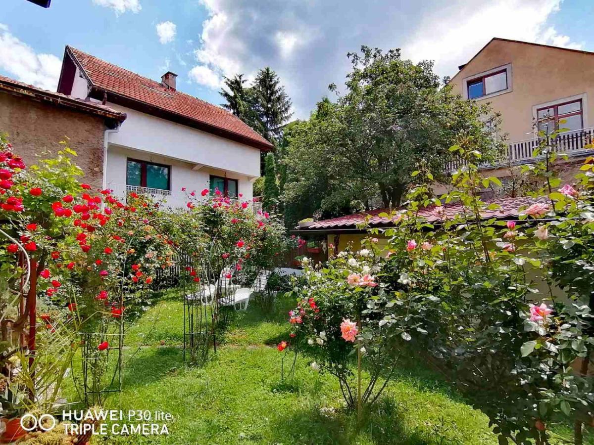 فندق Modern&Cozy Bosnian House With Garden+Free Parking سراييفو المظهر الخارجي الصورة