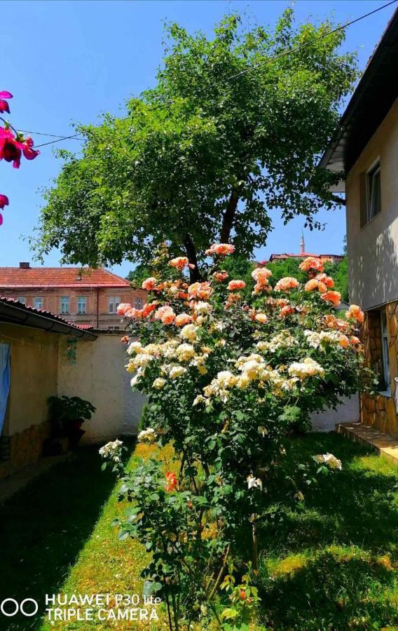 فندق Modern&Cozy Bosnian House With Garden+Free Parking سراييفو المظهر الخارجي الصورة