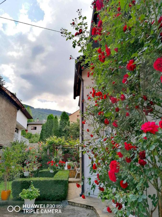 فندق Modern&Cozy Bosnian House With Garden+Free Parking سراييفو المظهر الخارجي الصورة