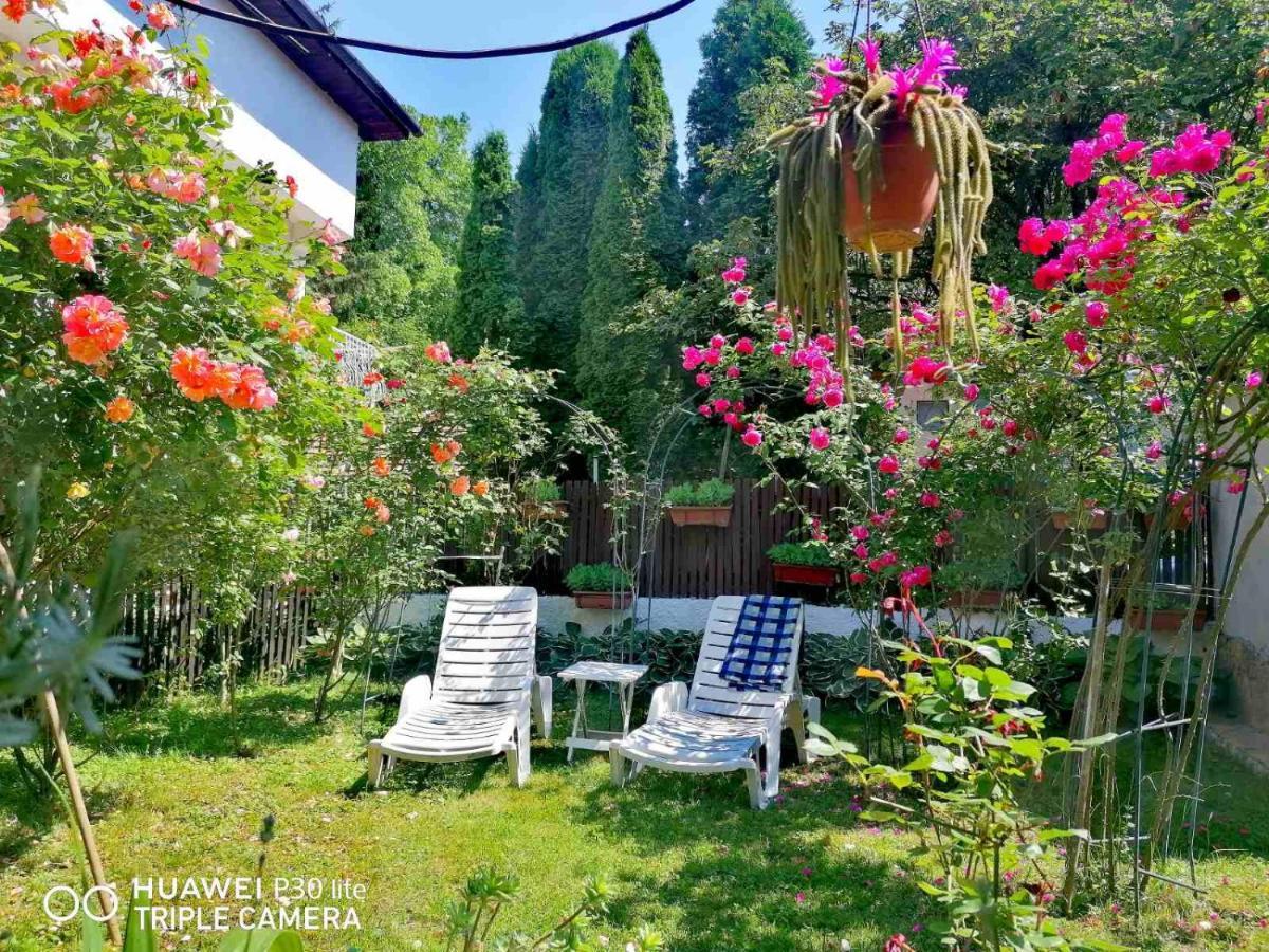 فندق Modern&Cozy Bosnian House With Garden+Free Parking سراييفو المظهر الخارجي الصورة