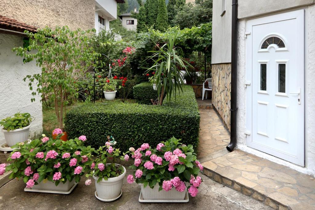 فندق Modern&Cozy Bosnian House With Garden+Free Parking سراييفو المظهر الخارجي الصورة