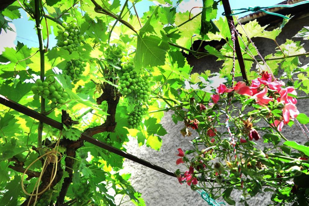 فندق Modern&Cozy Bosnian House With Garden+Free Parking سراييفو المظهر الخارجي الصورة