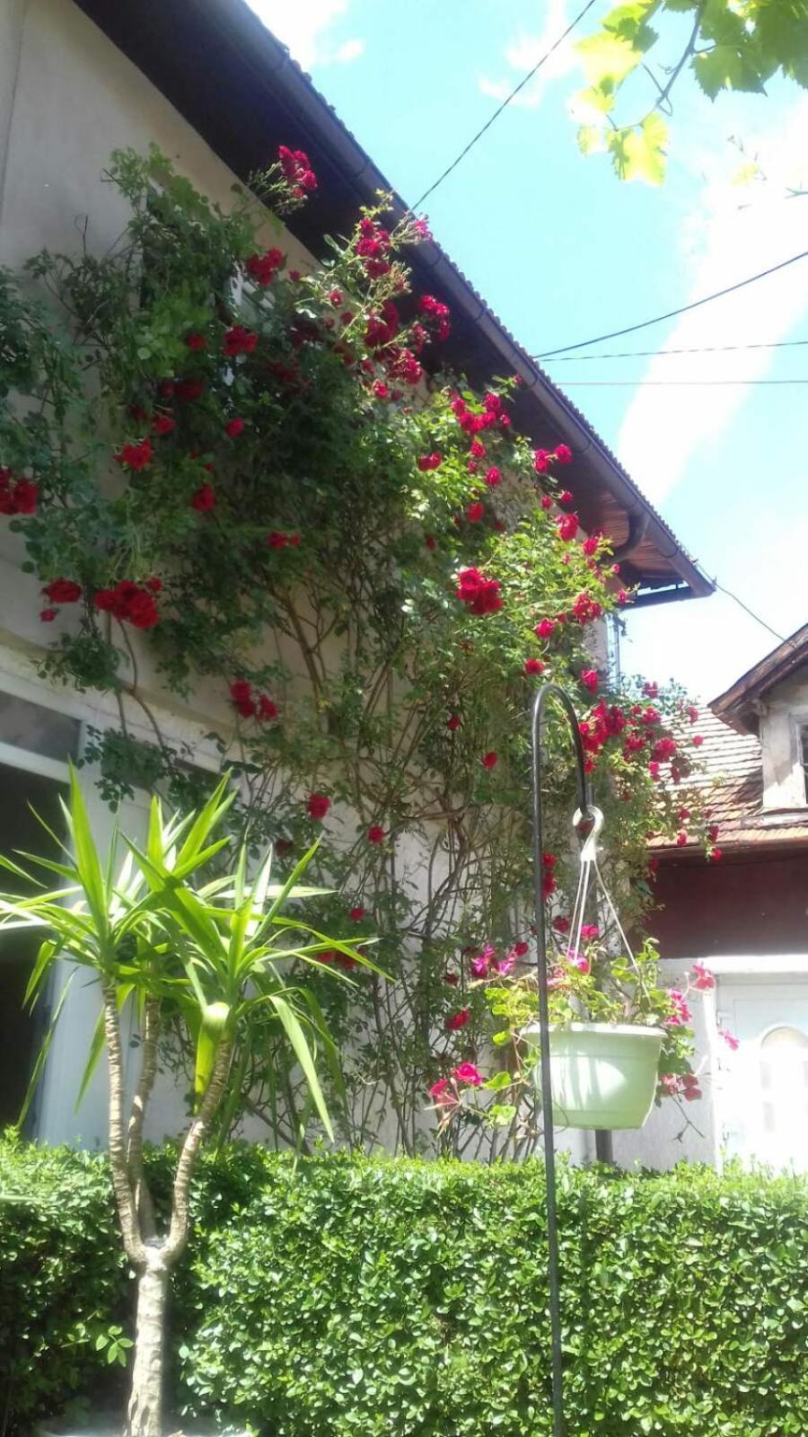فندق Modern&Cozy Bosnian House With Garden+Free Parking سراييفو الغرفة الصورة