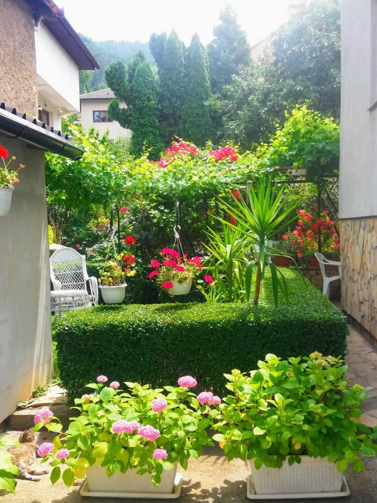 فندق Modern&Cozy Bosnian House With Garden+Free Parking سراييفو الغرفة الصورة