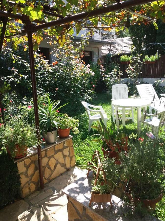 فندق Modern&Cozy Bosnian House With Garden+Free Parking سراييفو المظهر الخارجي الصورة